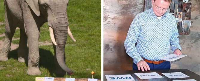 Aktienchallenge-Halbzeit: Aktien-Profi liegt vor Zoo-Elefant